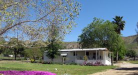 Sycamore Hill Farm