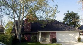 Eveleth Home