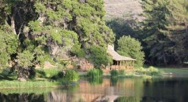 Golden Oak Ranch