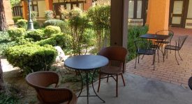 The Tea Gardens
