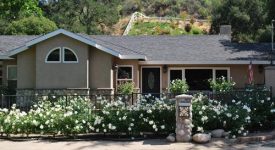 Springer Wildwood Canyon