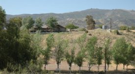Purfoy Ranch