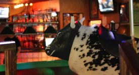 Shooters Bar & Billiards / Mechanical Bull