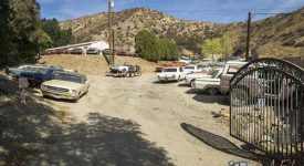 LAFL – Car Yard