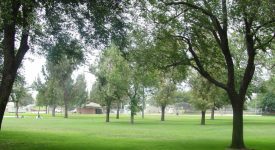 Newhall Park