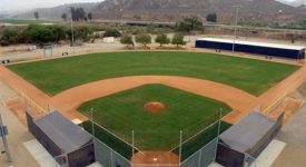 VTV Baseball