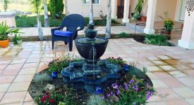 Cactus Flower Ranch