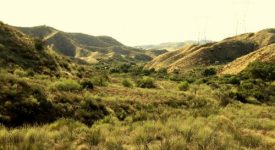Lost Creek Film Ranch