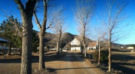 Acton Acreage