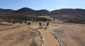 Agua Dulce Ranch