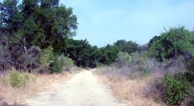 Quigley Canyon