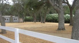 Pugliese House