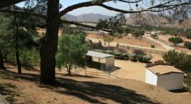 Almost Texas Ranch