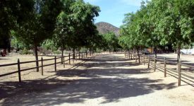 Sweetwater Springs