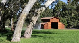 Golden Oak Ranch