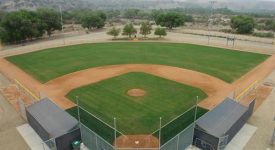 VTV Baseball