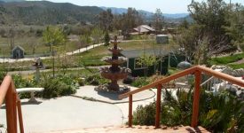 Costanza Home