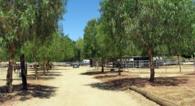 Three Ranches For Flicks