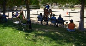 Melody Oaks Ranch