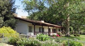 Sycamore Hill Farm