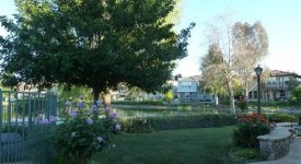 Bridgeport Lakeside Home