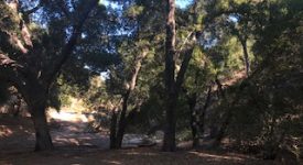 SilverStrand Ranch