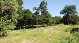 Quigley Canyon