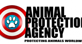 Animal Protection Agency