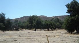 Placerita Canyon Rd – Vacant land off Freeway