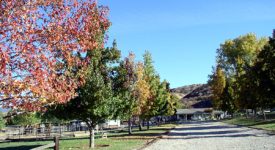 Amberwood Grove Ranch
