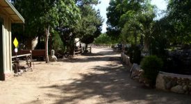 Sweetwater Springs