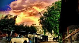 Smoke Tree Ranch
