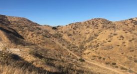 SilverStrand Ranch
