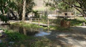 Shambala Preserve