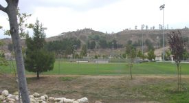 Central Park
