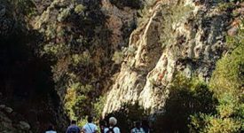 Towsley Canyon