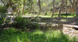 Shambala Preserve