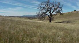 Bermite Property