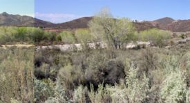 Shambala Preserve