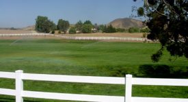 Agua Dulce Airpark