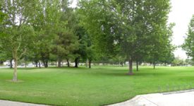 Almendra Park