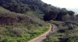 Towsley Canyon