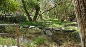 Shambala Preserve