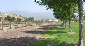 Creekview Park