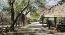 Shambala Preserve