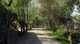 Shambala Preserve