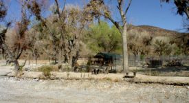 Shambala Preserve