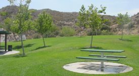 Begonias Lane Park
