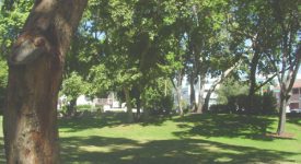 Old Orchard Park