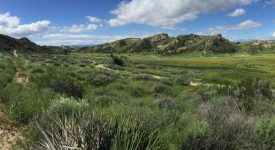 Baker Canyon Ranch